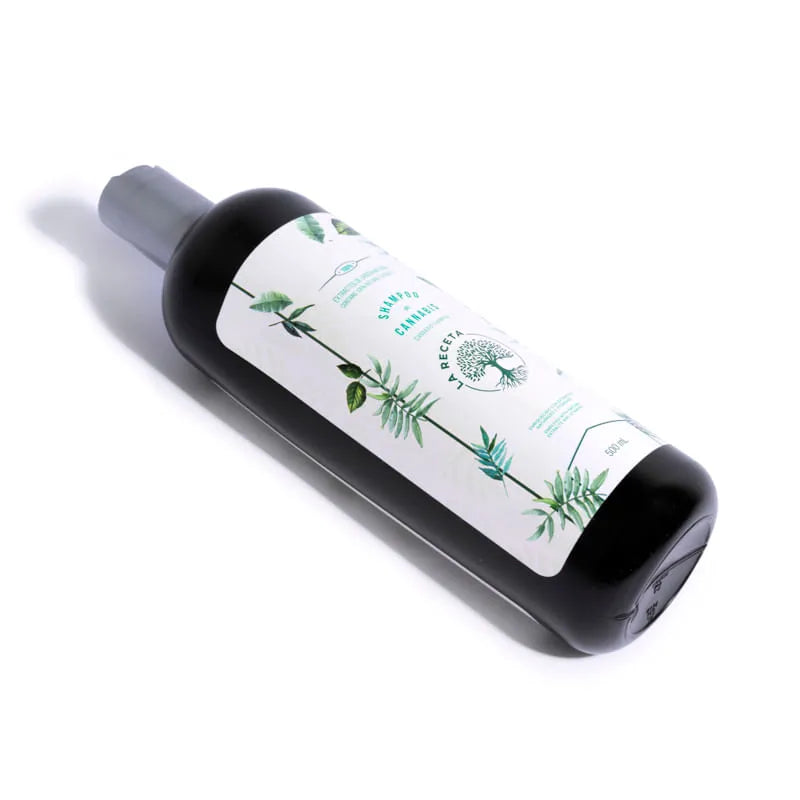 SHAMPOO PARA CABELLO SECO ARGÁN