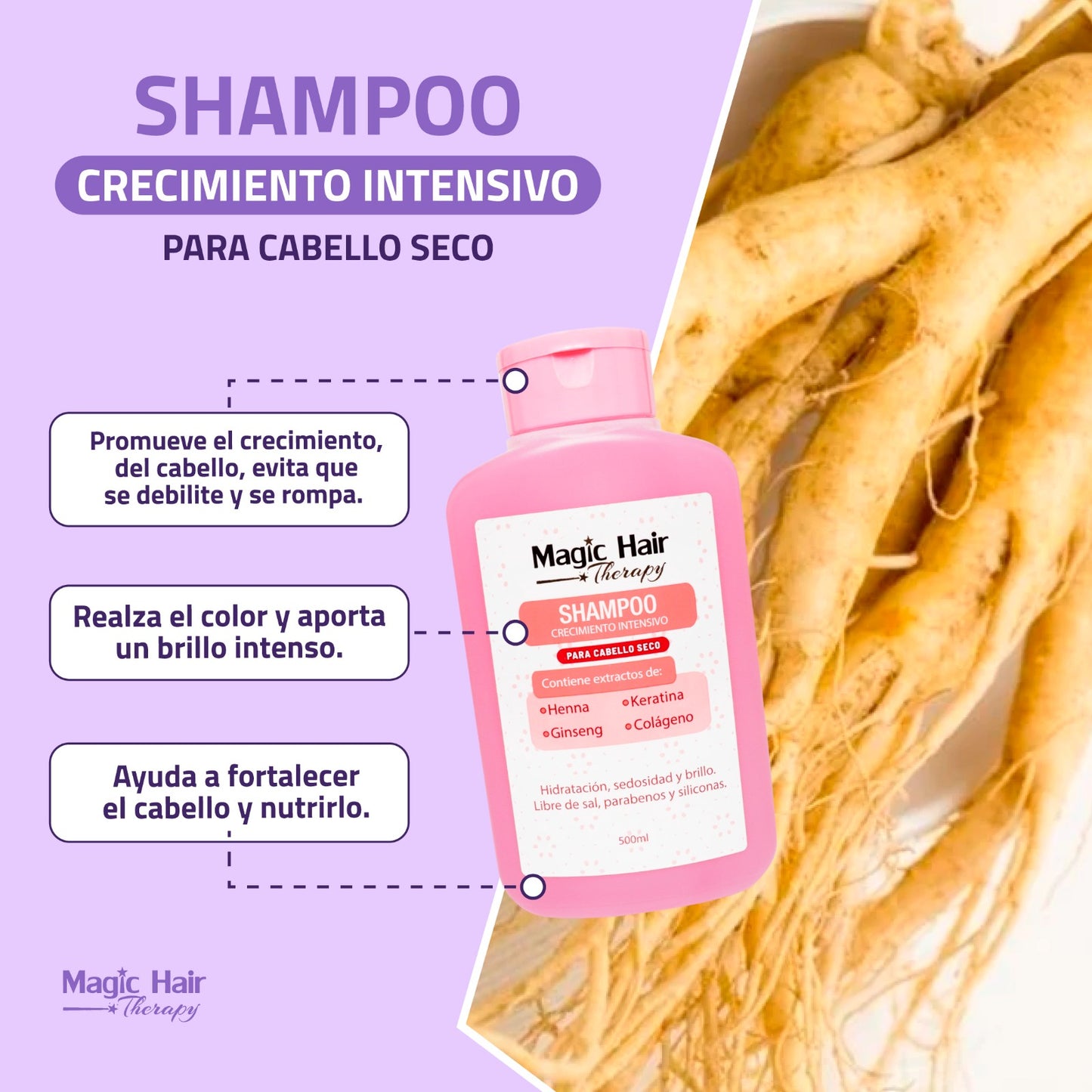 SHAMPOO CRECIMIENTO INTENSIVO CABELLO SECO