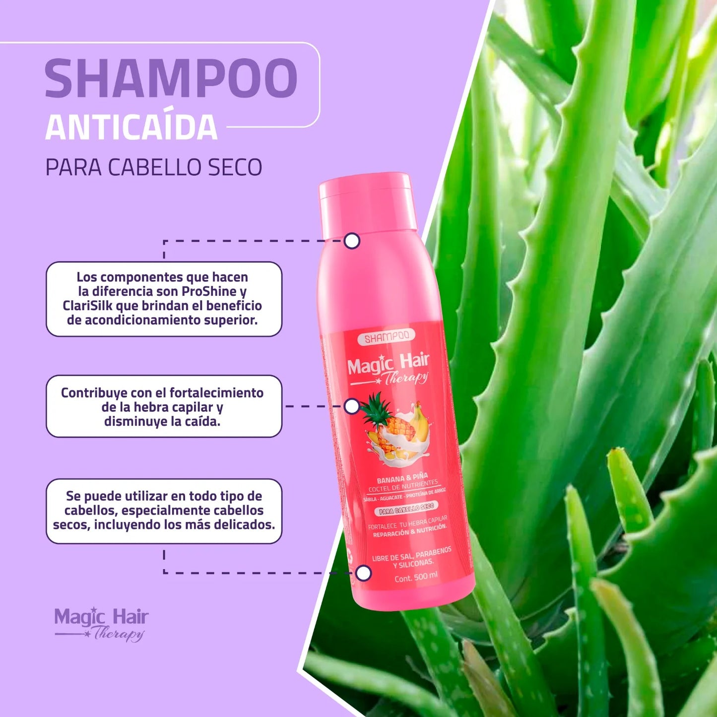 SHAMPOO BANANA Y PIÑA CABELLOS SECOS