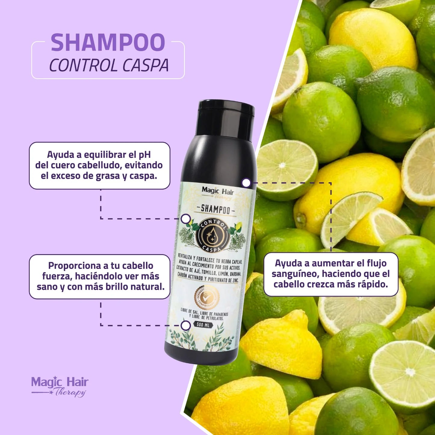 SHAMPOO CONTROL CASPA