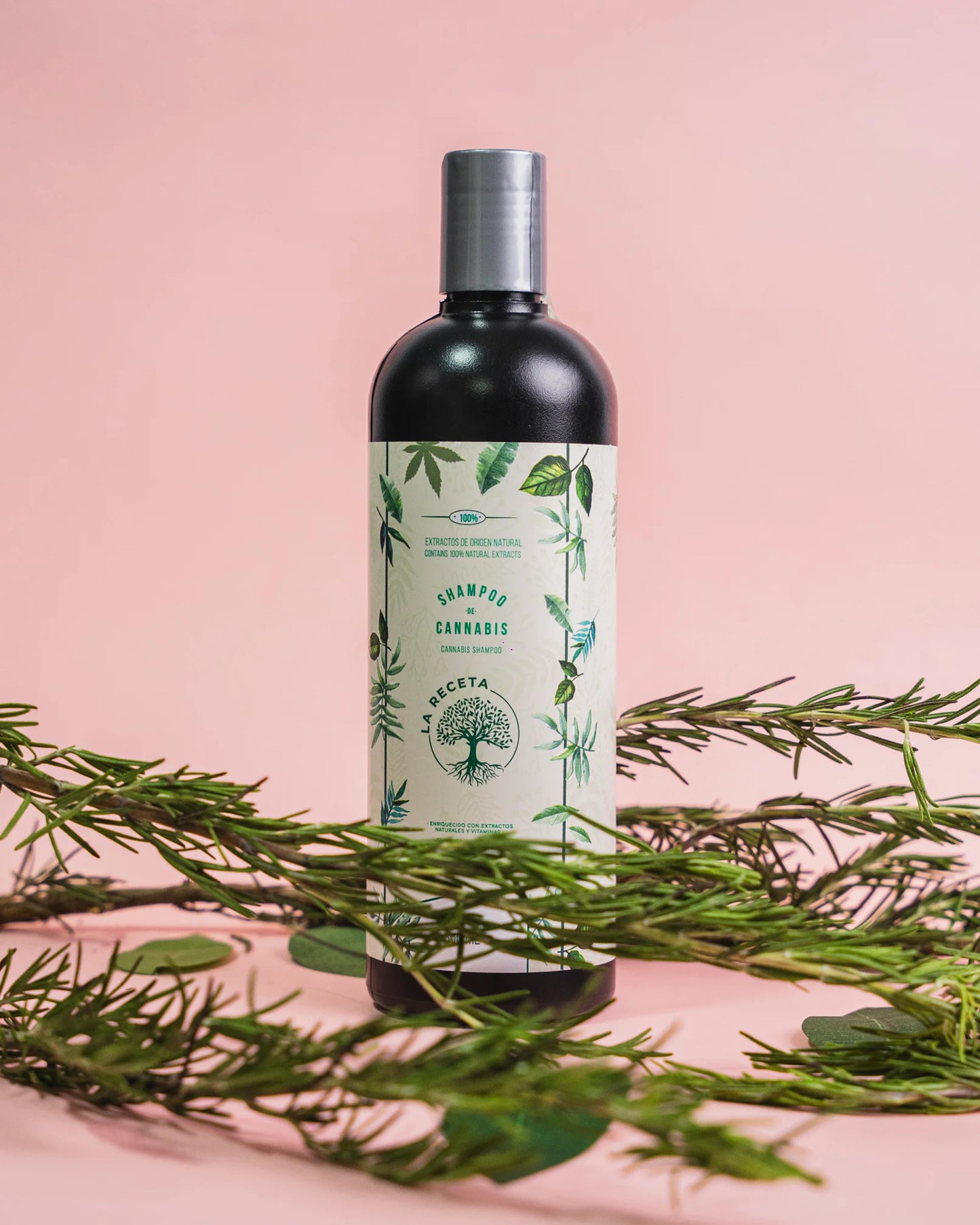 SHAMPOO PARA CABELLO SECO ARGÁN