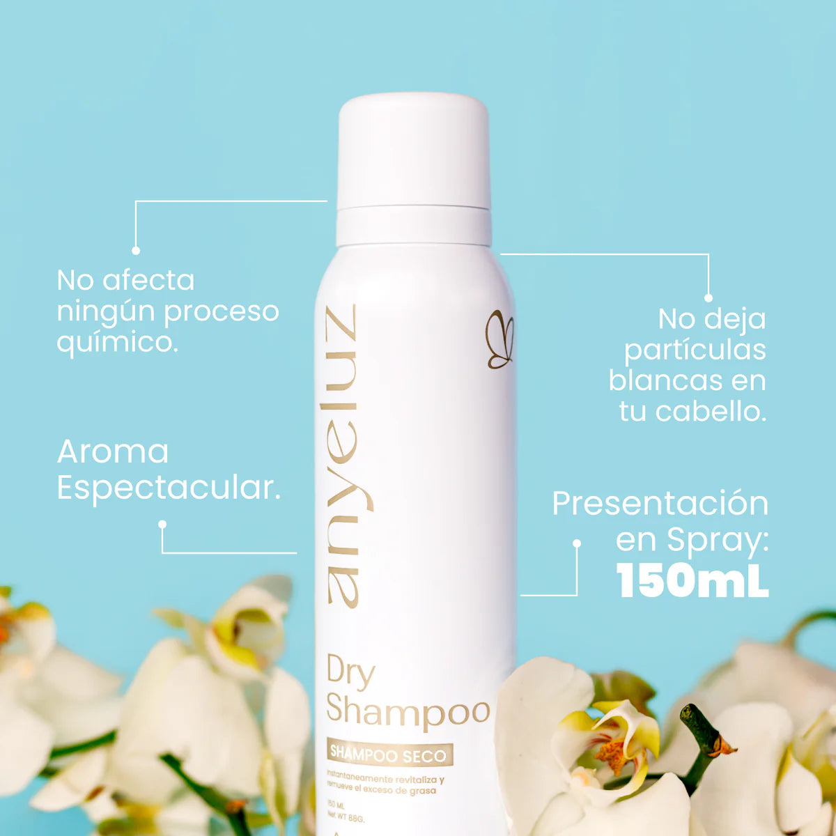 SHAMPOO SECO