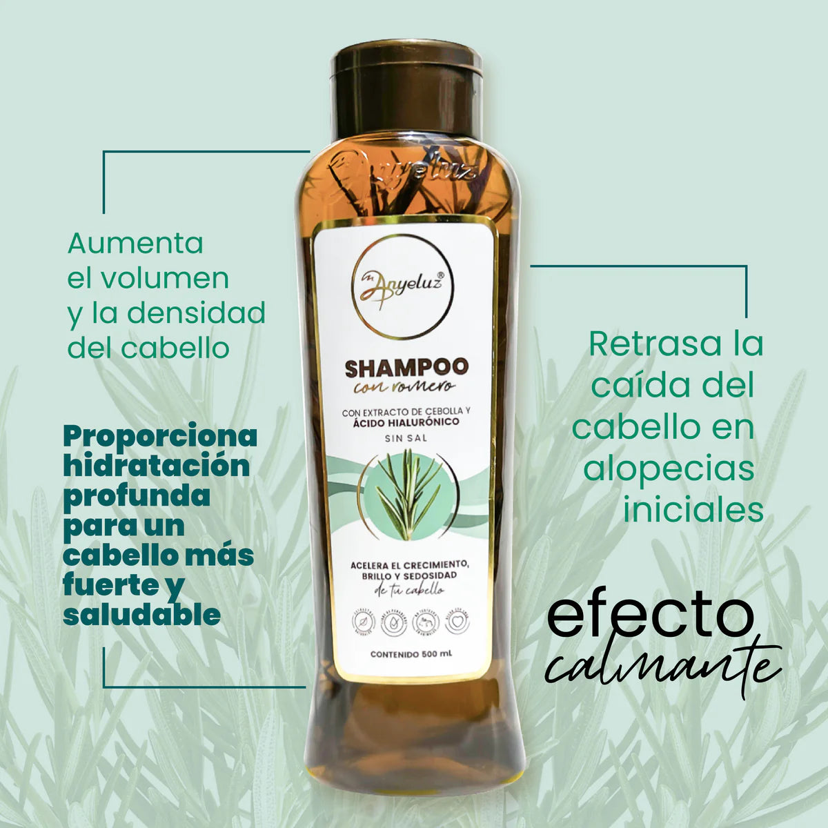 SHAMPOO CON ROMERO