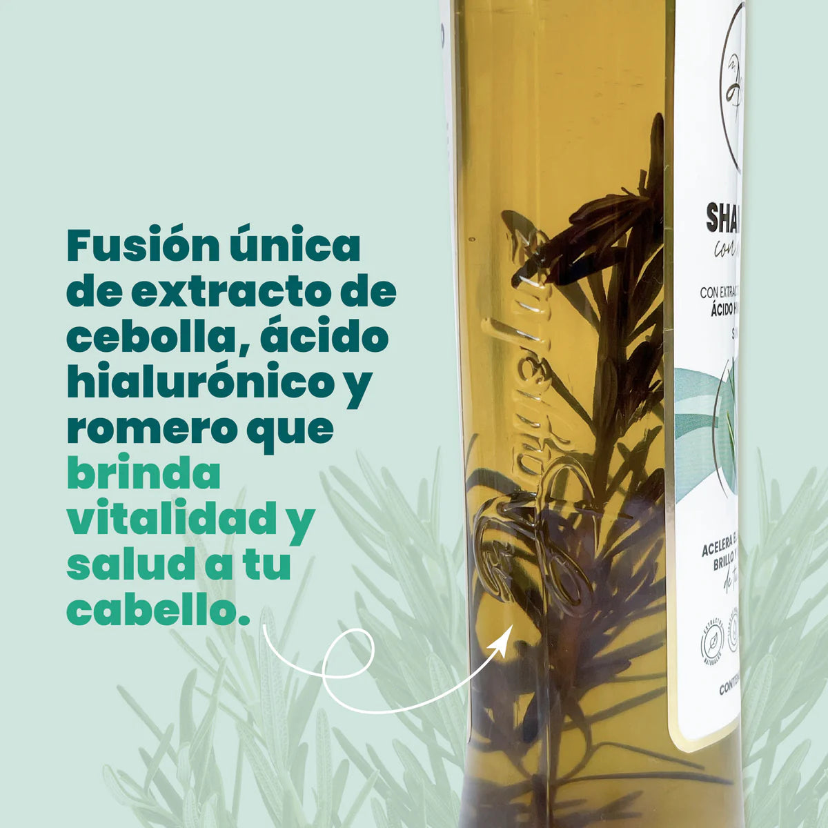 SHAMPOO CON ROMERO
