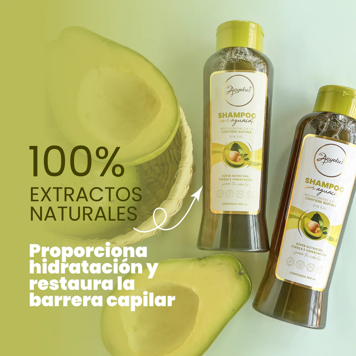SHAMPOO CON AGUACATE