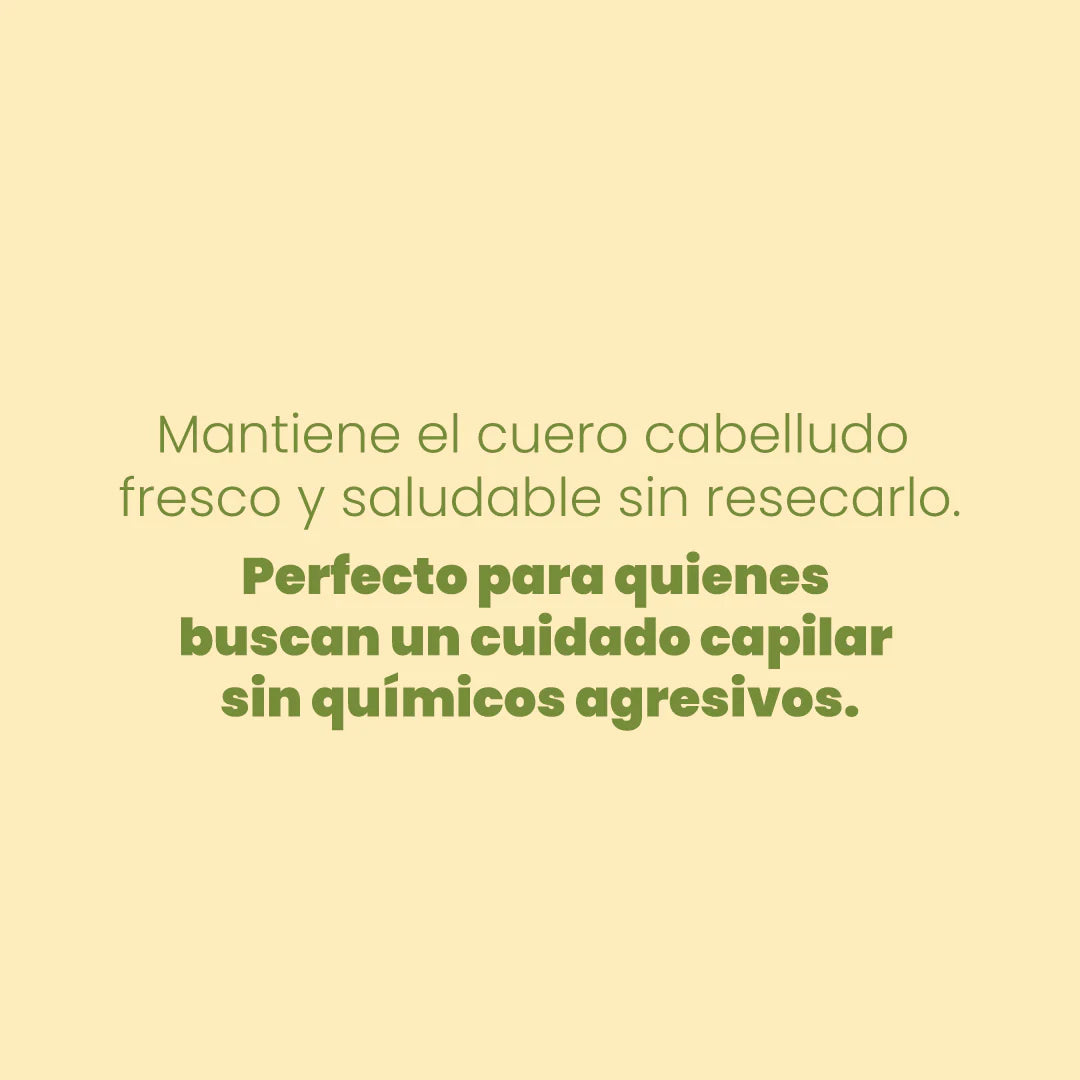 SHAMPOO MANZANILLA