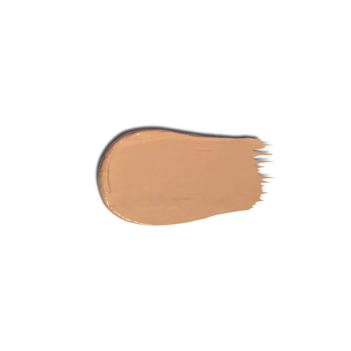 CORRECTOR DE OJERAS