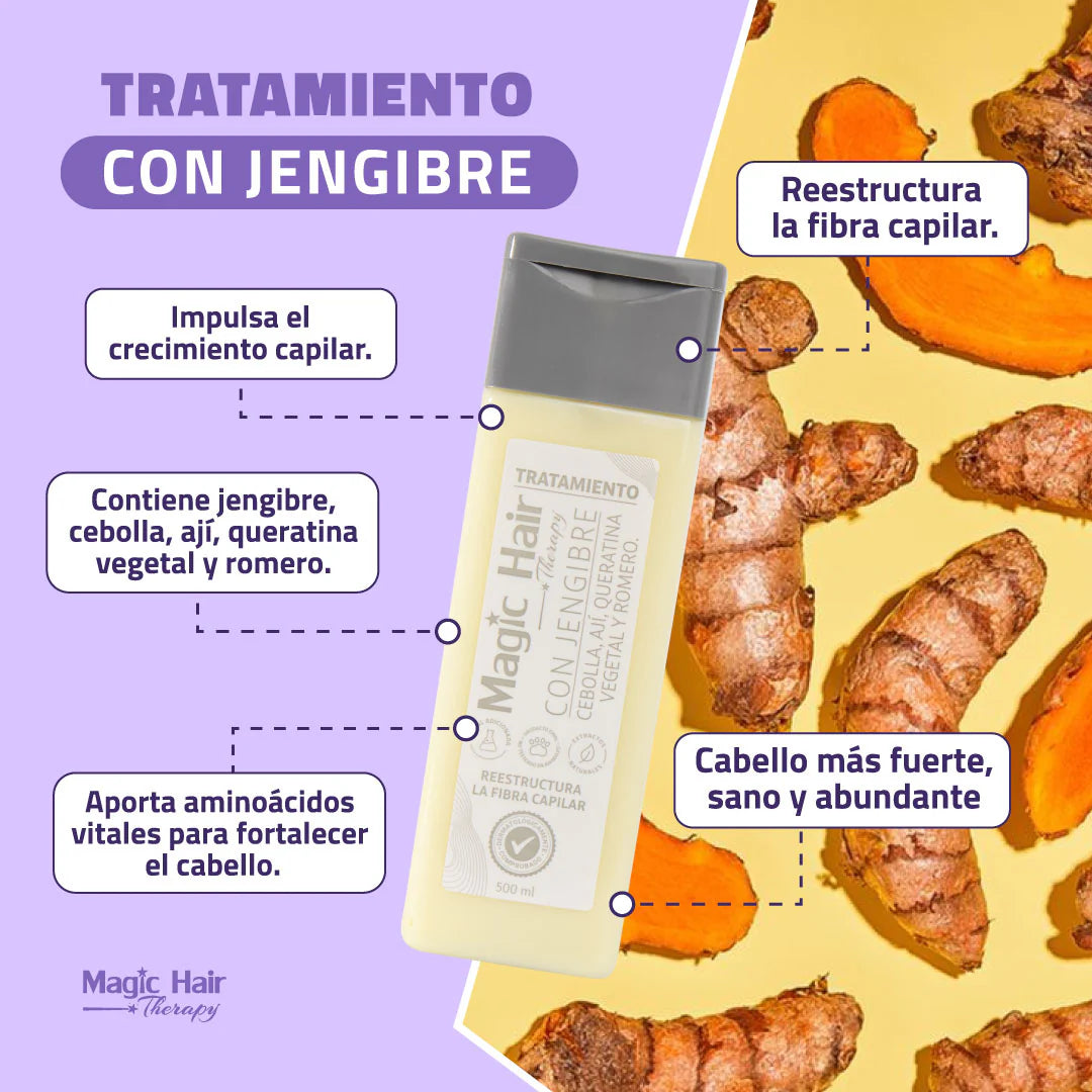 TRATAMIENTO DE JENGIBRE