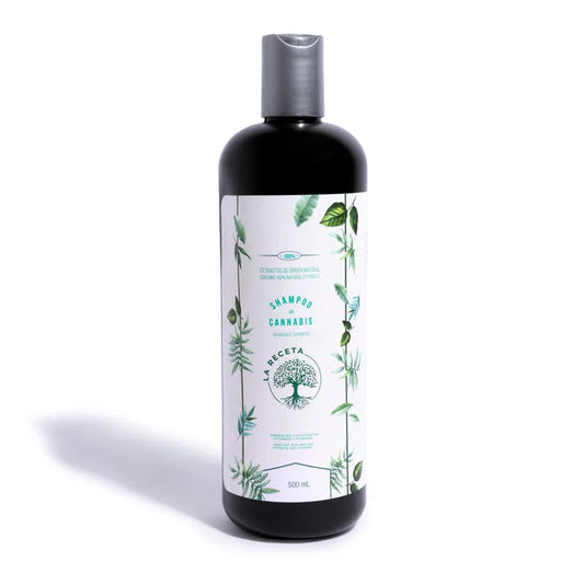 SHAMPOO PARA CABELLO SECO ARGÁN