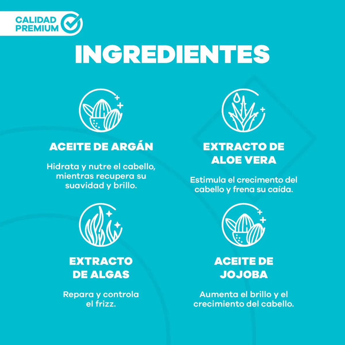 SHAMPOO DE REPARACIÓN POCIÓN