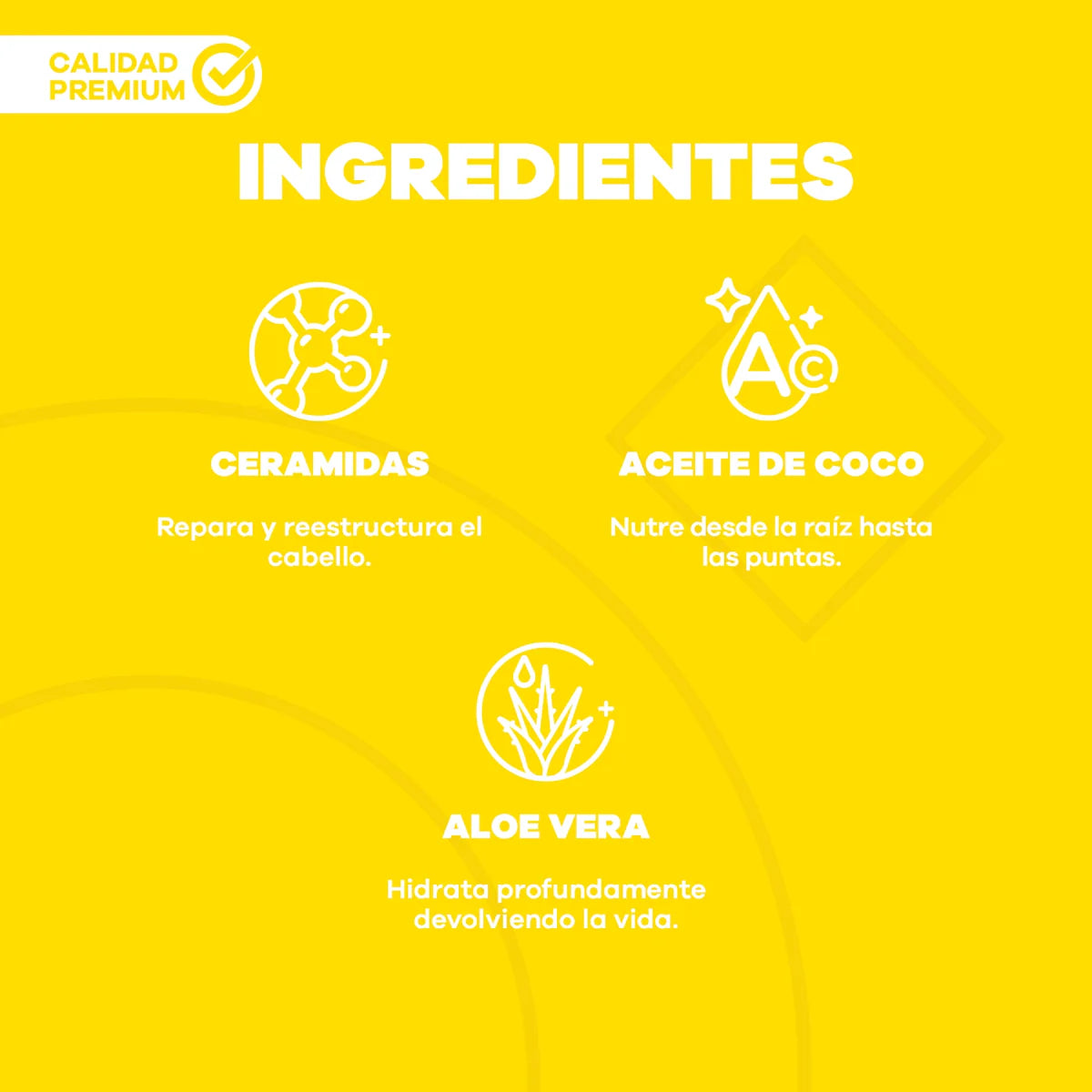 SHAMPOO PARA RIZOS TONGOLÉ